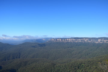 Fototapeta premium ブルーマウンテン