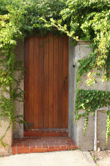 Fototapeta na wymiar external wooden close door border with a green hedge