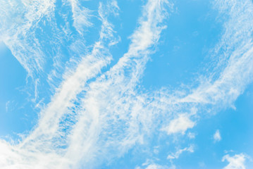 on the blue sky, cirrus clouds in interesting shapes