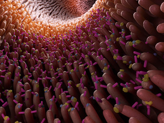 3d rendered medically accurate illustration of the gut micro biome