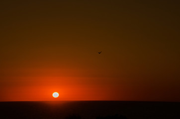 Sunset at Cala de Roche, Conil de la Frontera, Cadiz