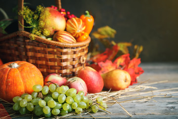 Happy Thanksgiving Day background, wooden table decorated with Pumpkins, Maize, fruits and autumn leaves. Harvest festival. Selective focus. Horizontal. Background with copy space.