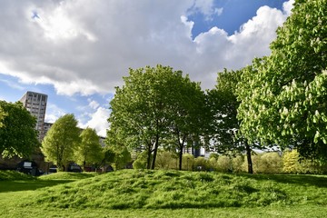 Fototapete bei efototapeten.de bestellen   