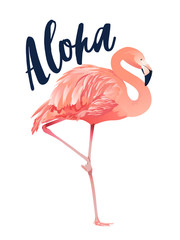 Fototapeta premium Aloha flamingo illustration. Style Isolated on White Background.