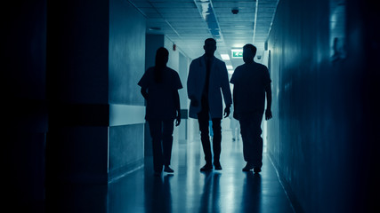 Obraz na płótnie Canvas Silhouettes of Surgeon and Doctor Walk Through Dark Hospital Hallway. Modern Hospital with Professional Staff.