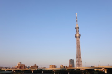 Obraz premium 東京スカイツリーと隅田川