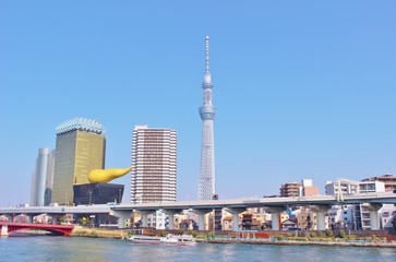 Obraz premium 東京スカイツリーと青空