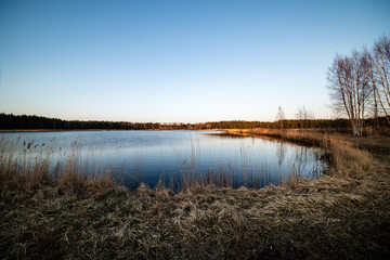 Fototapeta premium lake shore with grass and trees in spring