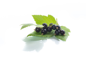 ripe berries black currant on white background