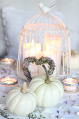 still life with pumpkins in white, candles and bird cage