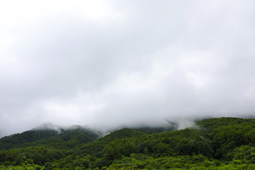 Green mountain and rain cloud for natural background