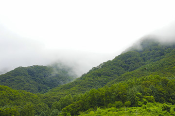 Green mountain and rain cloud for natural background