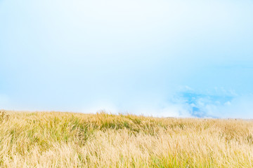 Obraz premium 初秋の山 山形県月山