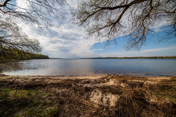 lake shore with grass and trees in spring