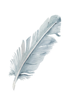 Watercolor imafe with light blue feather