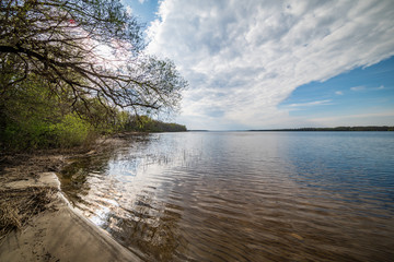 lake shore with grass and trees in spring