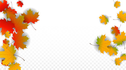 September Vector Background with Golden Falling Leaves. Autumn Illustration with Maple Red, Orange, Yellow Foliage. Isolated Leaf on Transparent Background. Bright Swirl. Suitable for Posters.