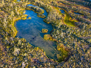 Moody Drone Photo of Colorful Moorland in Early Summer Sunrise