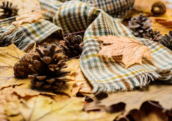 Hat and scarf on autumnal background with fallen maple leaves and fir cones. Autumn in air. Fall season fashion accessory. Autumnal walk accessory. Orange leaves and checkered scarf and kepi
