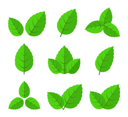 leaves set icons