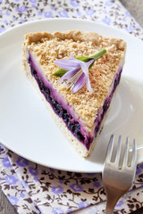 Piece of blueberry cake on a plate