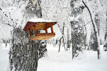 Bird Feeder in the Park