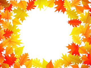 Autumn banner with colorful autumn leaves background with copyspace on the center. Vector illustration for fall season