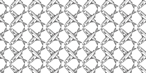 fish seamless Pattern salmon vector boat dolphin shark tail whale fin Nautical maritime isolated ocean sea tropical tile background repeat wallpaper