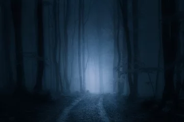 Muurstickers pad in donker en eng bos © mimadeo