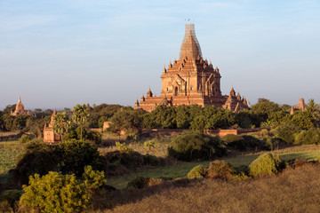 Buddha temple in the sunset dawn