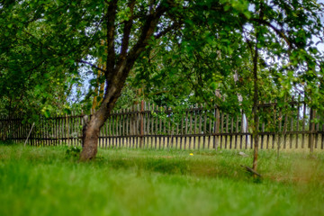 old wooden fence in garden at countryside