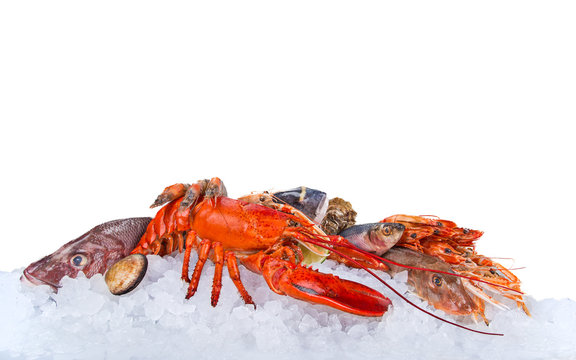 Fresh tasty seafood served on crushed ice.