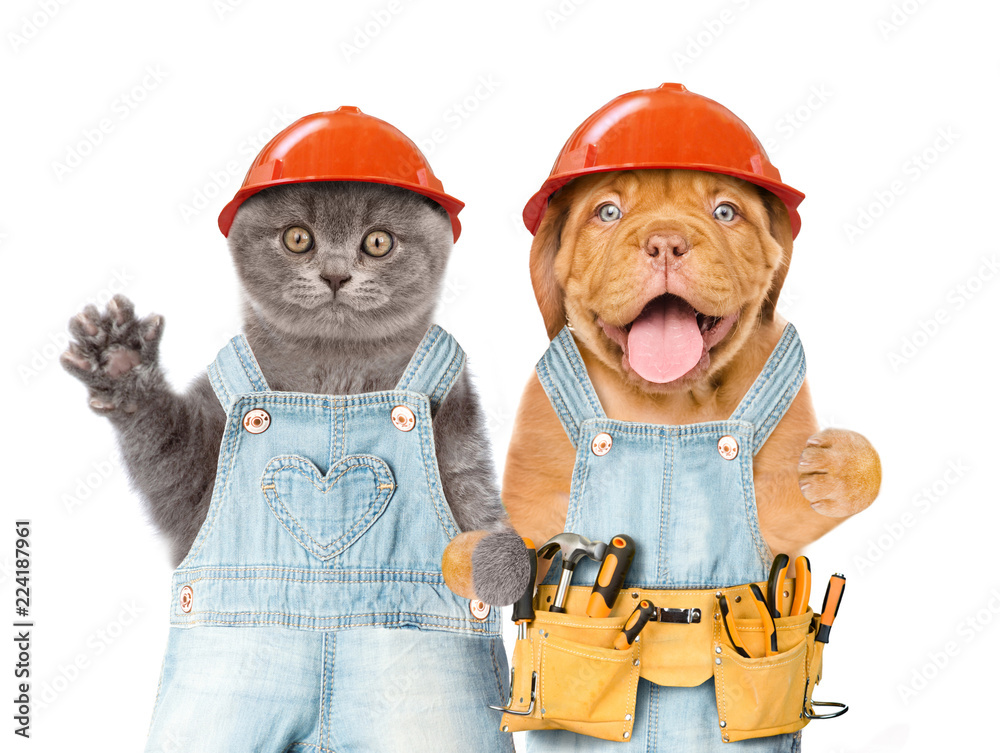 Poster funny kitten and puppy workers in hard hats with tool belt. isolated on white background. space for 