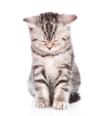 Obraz premium zabawny kotek do spania. na białym tle