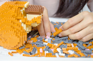 Plastic Toy Block is a favorite of Asian women.Plastic Toy Block Activities Asian women.