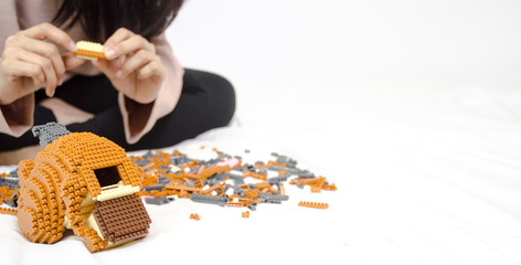 Plastic Toy Block is a favorite of Asian women.Plastic Toy Block Activities Asian women.