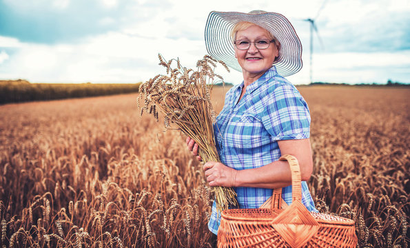 Woman with a basket in the wheat field