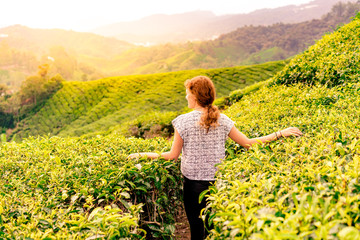 Fototapeta premium Caucasian girl in a tea plantation during the sunset