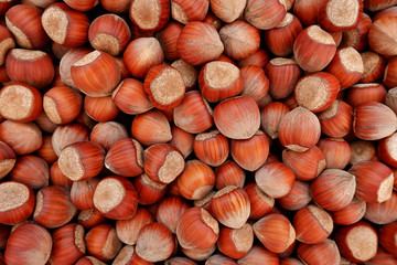 Brown background of hazelnuts. Nut texture