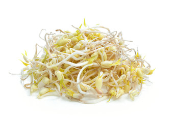 Bean Sprouts on White Background