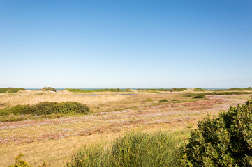 Fototapeta premium Coastal dune natural park on the coastline of Ostuni in Salento on the Adriatic sea