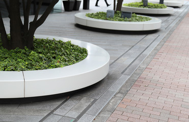 Closeup of designed outdoor circle bench with trees, cement floor and walkway.