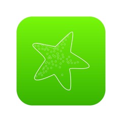 Obraz premium Starfish icon green vector isolated on white background