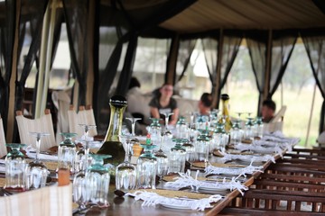 gedeckte Tafel in der Wildnis