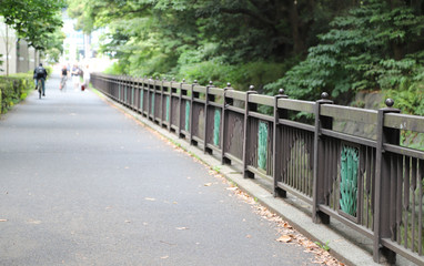 Scenery of walkway and metal fence with natural background.