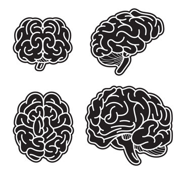 Brain mind icon set. Simple set of brain mind vector icons for web design on white background