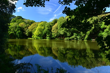 Waterworks Valley, Jersey, U.K.
Manmade reservoir at the start of Autumn on a calm day.