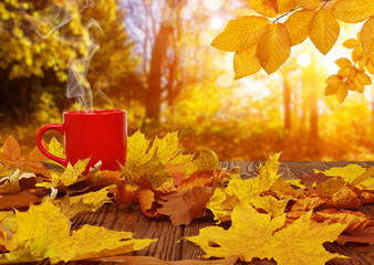 Naklejka na ściany i meble Autumn leaves and red cup of coffee .