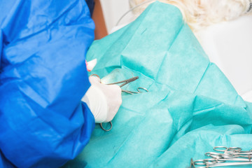 Veterinary surgeon operating a dog