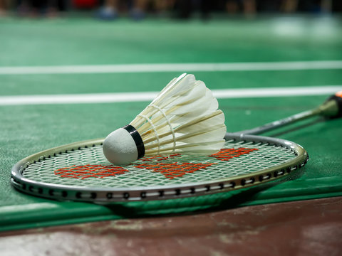 White badminton shuttlecock and racquet on a green court.